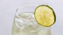 Margarita Wine Spritzer Margarita Wine Spritzer