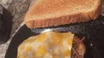 Slow Cooker Barbecue Goose Sandwich Slow Cooker Barbecue Goose Sandwich