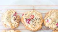 Perfect Chewy and Gooey Chocolate Chip Cranberry Cookies Perfect Chewy and Gooey Chocolate Chip Cranberry Cookies