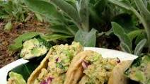 Tu-No Salad Tu-No Salad