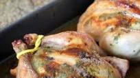 Crock Pot Cornish Game Hens Crock Pot Cornish Game Hens