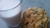 Oatmeal Chocolate Chip Cookies Oatmeal Chocolate Chip Cookies