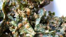Dijon Kale Chips Dijon Kale Chips