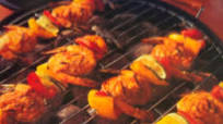 SHRIMP on the BARBIE SHRIMP on the BARBIE