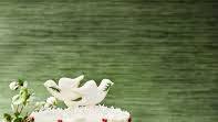 Coconut Cake with Coconut Cream Frosting Coconut Cake with Coconut Cream Frosting