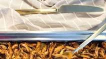Crispy Dutch Oven Pork Carnitas Crispy Dutch Oven Pork Carnitas