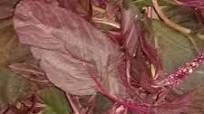 Red Greens? South Indian Style Dal-Saag Red Greens? South Indian Style Dal-Saag