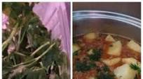 Durban Masala Mince Curry Durban Masala Mince Curry
