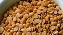 How To Recognize & Cook A Few Common Indian Dals (Lentil)-A Collection of Dal Recipes How To Recognize & Cook A Few Common Indian Dals (Lentil)-A Collection of Dal Recipes