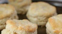 Easy Homemade Biscuits Recipe Easy Homemade Biscuits Recipe
