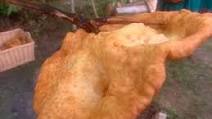Apache Fry Bread Apache Fry Bread