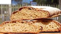 Whole-Wheat Sourdough Ciabatta Whole-Wheat Sourdough Ciabatta