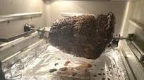 Air Fryer Roast Beef (Instant Pot Vortex and Omni) Air Fryer Roast Beef (Instant Pot Vortex and Omni)