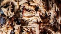 Pulled Pork on the Big Green Egg Pulled Pork on the Big Green Egg