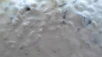 Tzatziki Dip Tzatziki Dip