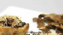 Bruschetta de funghi Porccini Bruschetta de funghi Porccini