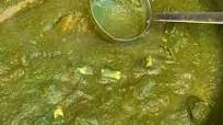 Palak Paneer (Spinach Curry) Palak Paneer (Spinach Curry)