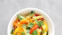 Low FODMAP Pasta with Roasted Pepper Sauce Low FODMAP Pasta with Roasted Pepper Sauce