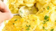 Creamy Gluten-Free Scalloped Potatoes (Dairy-Free, Vegan) Creamy Gluten-Free Scalloped Potatoes (Dairy-Free, Vegan)