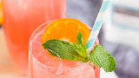 Cactus Cooler Cactus Cooler