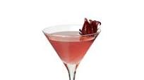 Hibiscus Margarita Hibiscus Margarita