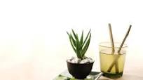 Pineapple-Aloe Cocktail Pineapple-Aloe Cocktail
