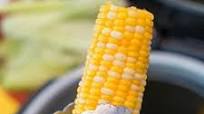 Air Fryer Corn Air Fryer Corn