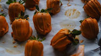 Pumpkin Patch Strawberries Pumpkin Patch Strawberries