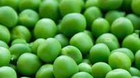 How To Can Peas How To Can Peas