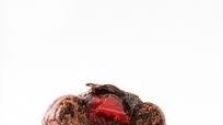 Chocolate-Covered Cherry Delights Chocolate-Covered Cherry Delights