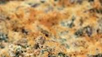 Martha Stewart's Chicken and Kale Casserole Recipe Martha Stewart's Chicken and Kale Casserole Recipe
