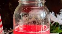 How To Make Rhubarb Juice How To Make Rhubarb Juice