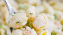 Very Best Shrimp Macaroni Salad Very Best Shrimp Macaroni Salad