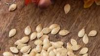Roasted Spaghetti Squash Seeds Roasted Spaghetti Squash Seeds