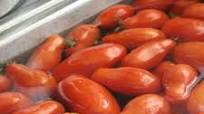 Freezing Tomatoes Freezing Tomatoes