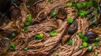 Slow Cooker Beef Brisket Recipe Slow Cooker Beef Brisket Recipe