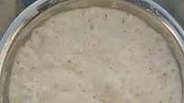 Poolish Recipe Poolish Recipe
