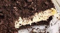 Oreo Dirt Cake Oreo Dirt Cake