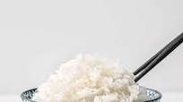 Instant Pot White Rice Instant Pot White Rice