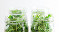Mediterranean Mason Jar Salads Mediterranean Mason Jar Salads