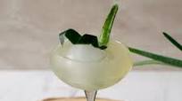 Say Aloe To My Little Friend Say Aloe To My Little Friend