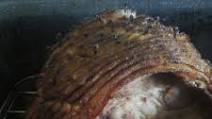 Nesco Honey Baked Cola Ham Nesco Honey Baked Cola Ham