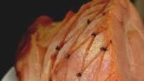 Simple Glazed Ham Simple Glazed Ham