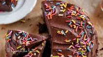Single Layer Chocolate Cake Single Layer Chocolate Cake