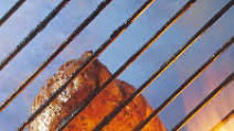 Santa Fe Chops with Firecracker Salsa Santa Fe Chops with Firecracker Salsa