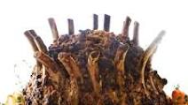 Crown Pork Roast Crown Pork Roast