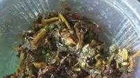 Kalmi Saag Kalmi Saag