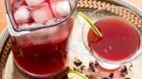Hibiscus Margaritas (Margarita de Jamaica) Hibiscus Margaritas (Margarita de Jamaica)