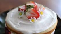 NO BUTTER VICTORIA SPONGE CAKE NO BUTTER VICTORIA SPONGE CAKE