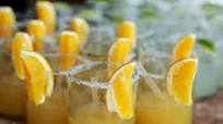 Pedregal Grapefruit Margarita Pedregal Grapefruit Margarita